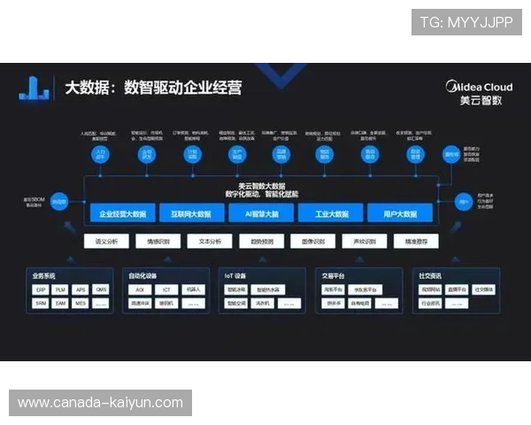 开云登录引领数字化体验革新与用户身份管理新趋势